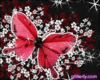 Fluttered By Your Page