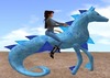 Seahorseback Riding Lessons