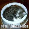 Bed `n´ breakfast