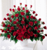 ~100 Red Roses~ 