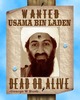 I'm just as wanted as Bin Laden