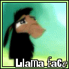 Llama Face