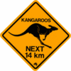 Kangaroo Crossing