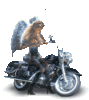 Biker  Angel 