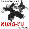 kung-fu fighting is fun