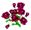 ROSES FOR YOU