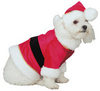 A VIST FROM SANTA PAWS