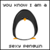 You know, I am a sexy penguin