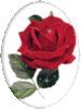 a rose for you...