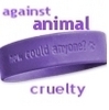 anti cruelty awareness bracelet