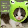 gangster kitty