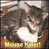a mouse killer