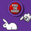 poke the bunny