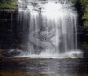 Waterfall of Love