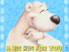 ♥ Big bear hug for you ♥