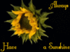♥ Always have a sunshine ♥