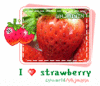 Love strawberry