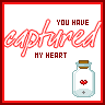 You've Captured My Heart...