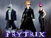 What is the FRYTRIX?