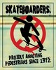 sk8boarder for life