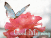 Have an awesome day xoxox