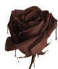A Chocolate Rose