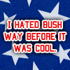 I hated Bush before it was cool