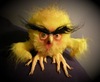 New Pet gone wrong!!!