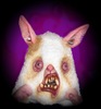A visit from an Angry pet!?!