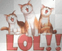 Laughing Out Loud!!!!!