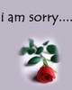 I am sღrry rose