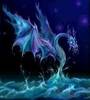 Night OCEAN Dragon