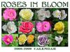 Roses in Bloom 2008-9 Calendar