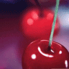 ~Cherries for you~
