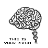 This is Your Brain....
