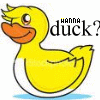 wanna duck?!