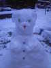 snowbear for you x