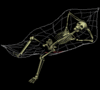a resting skeleton