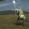 a Knight on a white horse!