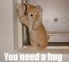 A big kitty hug