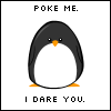 Penguin plushies