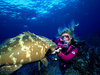 under sea diving trip