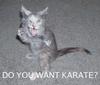 Do you want karate?
