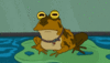 Hypnotoad say take off  clothes!