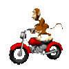 monkey on a moped