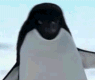 a happy penguin