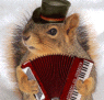 squirrel music