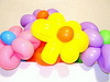 Balloon Flowers