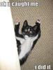You caught me