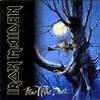 All fans of Maiden-.Up the IRonS